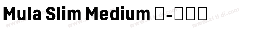 Mula Slim Medium 中字体转换